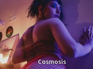 Cosmosis