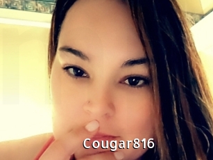 Cougar816