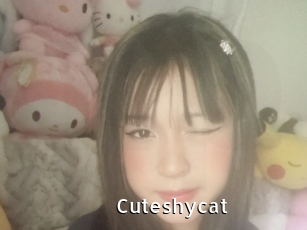 Cuteshycat