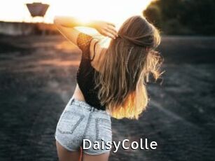 DaisyColle