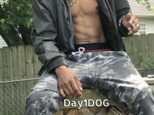 Day1DOG