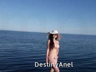 DestinyAnel