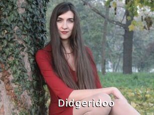 Didgeridoo