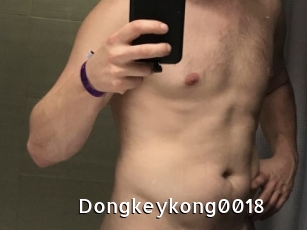 Dongkeykong0018