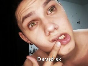 David_sk