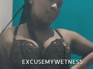 EXCUSEMYWETNESS
