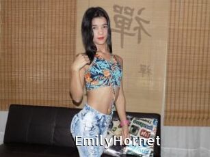 EmilyHornet
