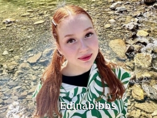 Edinabibbs