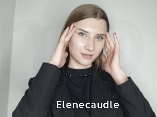 Elenecaudle