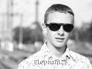 Elephant25