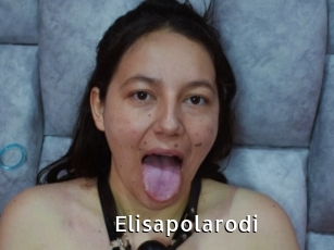 Elisapolarodi