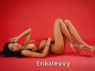 Erikalevvy