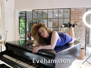Evehamilton