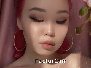 FactorCam