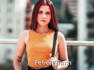 FelicityBarn