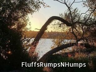 FluffsRumpsNHumps