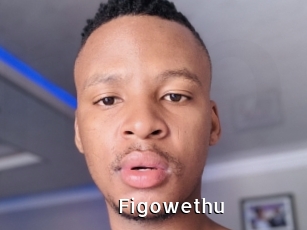 Figowethu