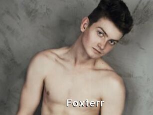 Foxterr