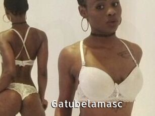 Gatubela_masc