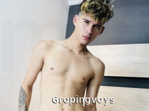 Gropingvoys