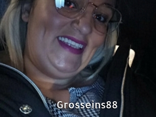 Grosseins88