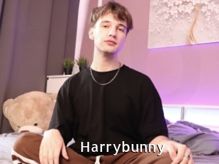 Harrybunny