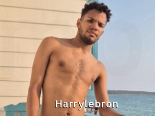 Harrylebron