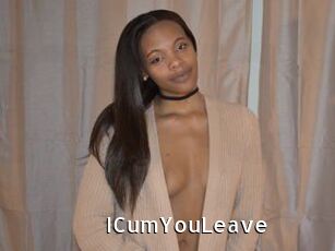 iCumYouLeave My Porno Stash