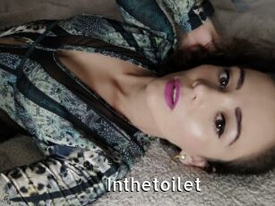 Inthetoilet