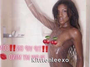 Kitttenleexo