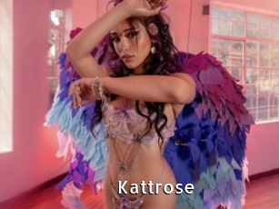 Kattrose