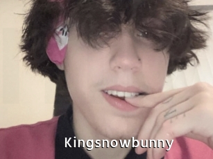 Kingsnowbunny