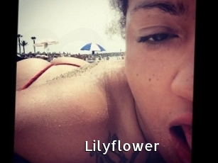 Lilyflower