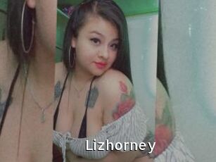 Lizhorney