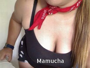 Mamucha