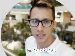 MateoHawk