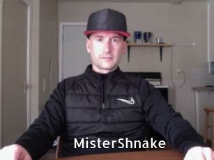 MisterShnake