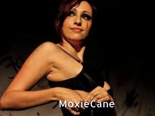 Moxie_Cane