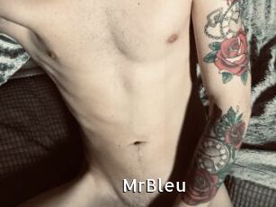 MrBleu