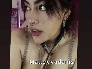 Malleyyadams