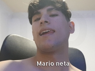 Mario_neta