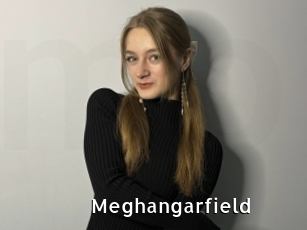 Meghangarfield