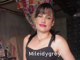 Mileidygrey