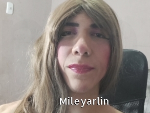 mileyarlin My Porno Stash