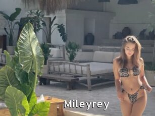 Mileyrey