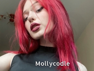 Mollycodle