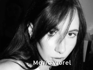 Monicavorel
