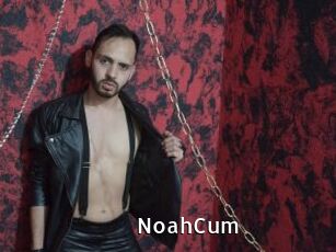 NoahCum