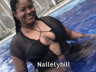 Nallelyhill