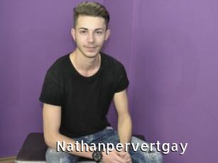 Nathanpervertgay